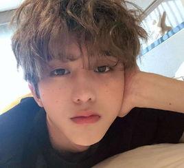 娱乐爆料焦迈奇是真的吗,焦迈奇娱乐爆料真实性揭秘