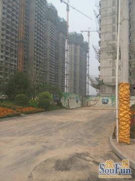 青岛蓝湾爆料最新消息今天,揭秘神秘项目进展与影响